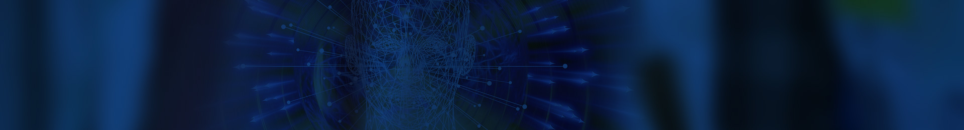 Digital Media & Content Services